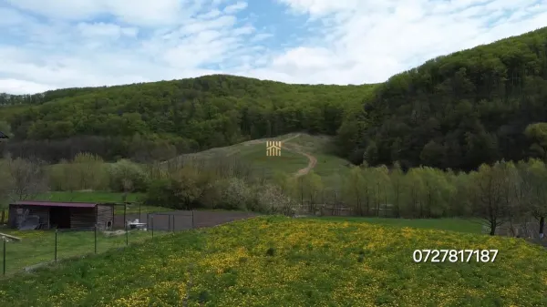 Casă 7 camere Patrauti - poza 10