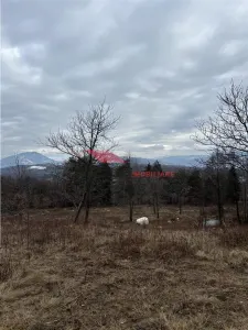 Teren cu 2 izvoare,  Prundul Bargaului - foto 2