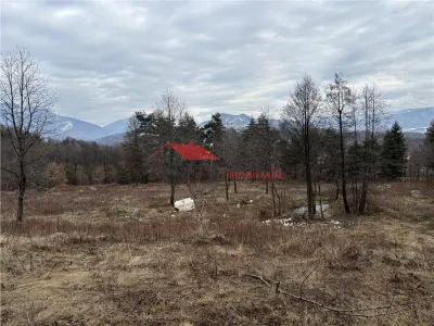 Teren cu 2 izvoare,  Prundul Bargaului - foto 7