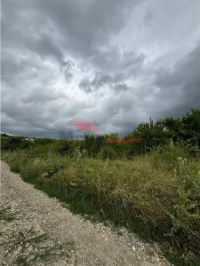 Teren extravilan 60 ari, Sigmir - foto 2