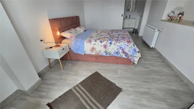 CASĂ DE VACANȚĂ ȘI PROPRIETATE TURISTICĂ ÎN DORNA ARINI  LÂNGĂ VATRA DORNEI COMISION 0 - foto 19
