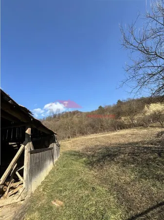 Casă 3 camere Vermes - poza 7