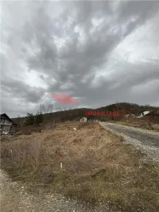 Teren 9 ari Valea Ghinzii - foto 2