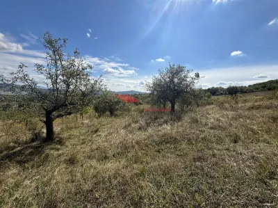 Teren Bistrița - poza 12