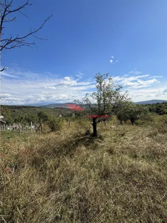 Teren Bistrița - poza 14