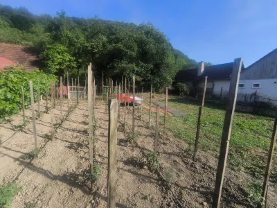 Teren Intravilan, Chirales , 15 Ari - foto 1