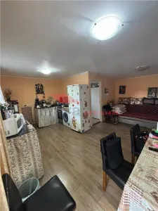 2 Case cu 41 ari teren, Ilisua - foto 3