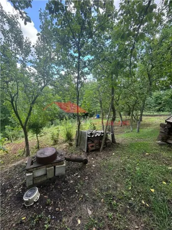 Casă 4 camere Ilisua - poza 4