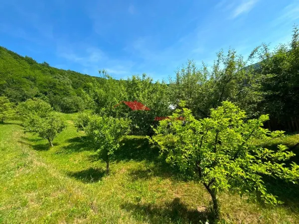 Casă 3 camere Tarlisua - poza 12
