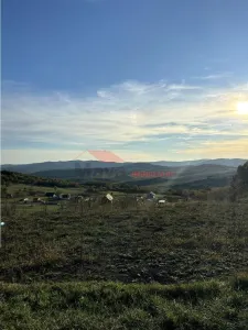 10 ari teren extravilan, zona cartier RAAL - Bistrita