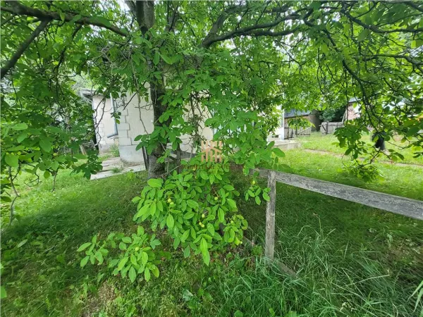 Casă 3 camere Zvoristea - poza 4