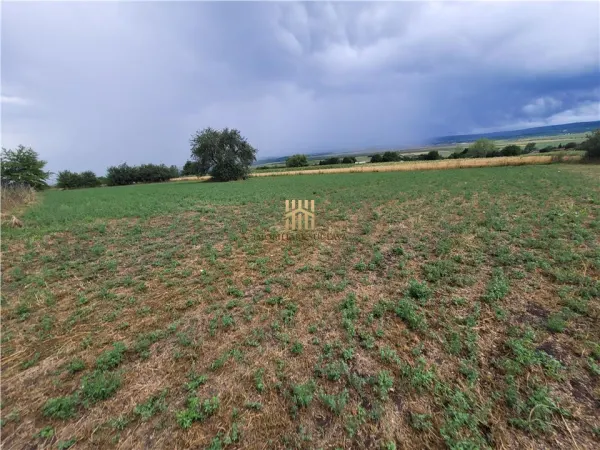 Casă 3 camere Zvoristea - poza 6