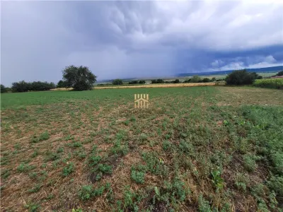 Casa Orheienilor! - foto 9