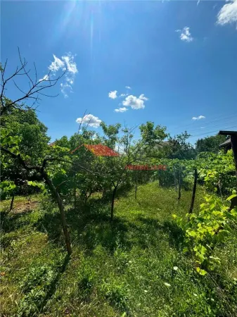 Casă 2 camere Coldau - poza 10