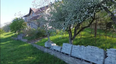 Teren 4800 mp cu Livada si Casa Nefinalizata - Adancata! - foto 12