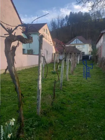Casă 2 camere Reșița - poza 3