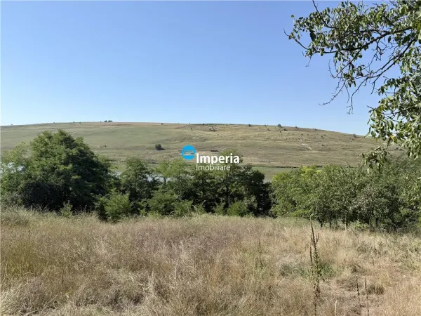 Casă 3 camere Malaesti - poza 6