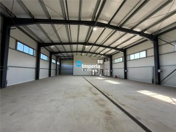 Spațiu industrial Iași - poza 22