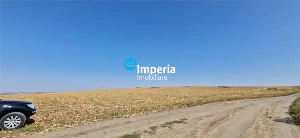 Teren Iași - poza 7