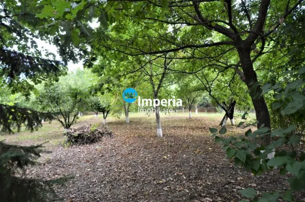 Casă 11 camere Iași - poza 14