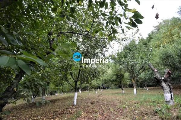 Casă 11 camere Iași - poza 15