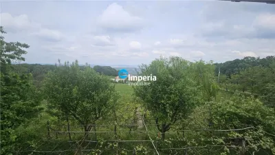Casa deosebita in mijlocul naturii, cu teren generos si priveliste panoramica - foto 3