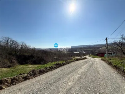 Loturi teren intravilan,sat Goruni - com.Tomesti,de vanzare. - foto 1