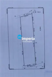 Teren intravilan de vanzare Visan 6380 mp - foto 2