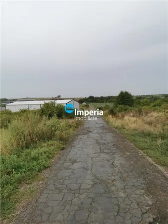 Teren Iași - poza 4