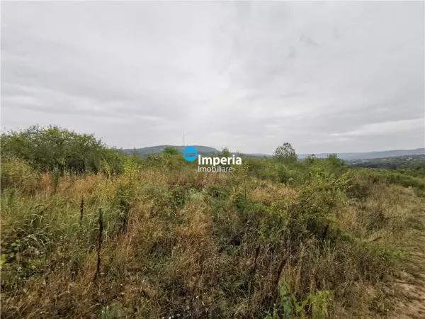 Teren Iași - poza 6