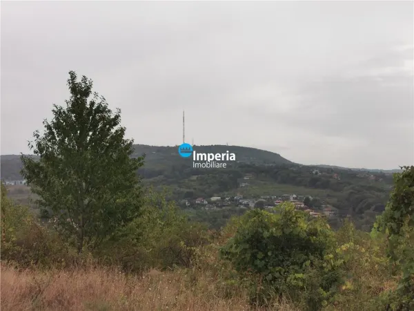 Teren Iași - poza 7