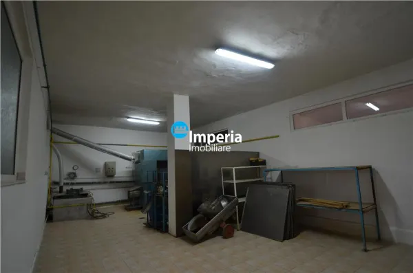 Spațiu industrial Tomești - poza 4