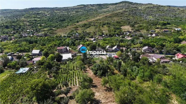 Casă 3 camere Costuleni - poza 13