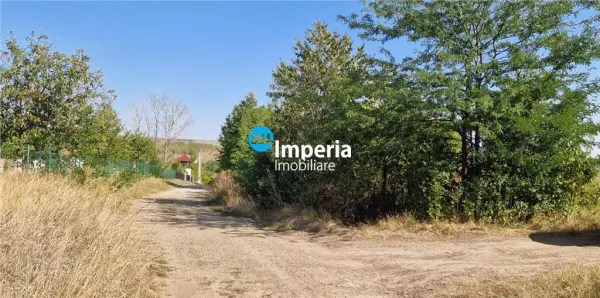 Teren Iași - poza 6