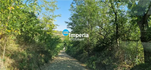 Teren Iași - poza 7