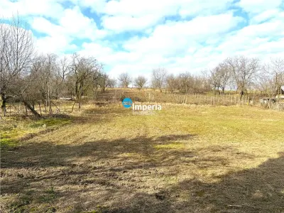 Teren intravilan 4800 mp, investitie,  utilitati complete, Dancas Miroslava - foto 2