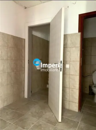 Spațiu industrial Dancu - poza 3