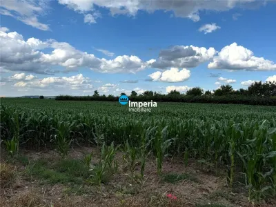 Teren intravilan,19800 mp,Roman zona Poligon - foto 4