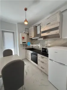 Apartament 2 camere de inchiriat Pacurari Contemporan Homes - foto 3