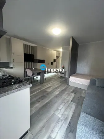 Apartament 1 camera Rediu - poza 5