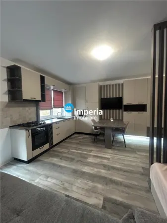 Apartament 1 camera Rediu - poza 8