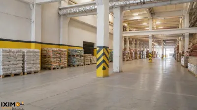 Platforma Industriala Productie 0% Comision - foto 4