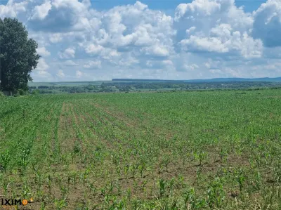 Teren Saucesti DiscounT 2.75 Ha - Serbesti