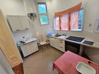 CASA  3 CAMERE 70 MP   TEREN  1675 MP GRIGORESCU - foto 3