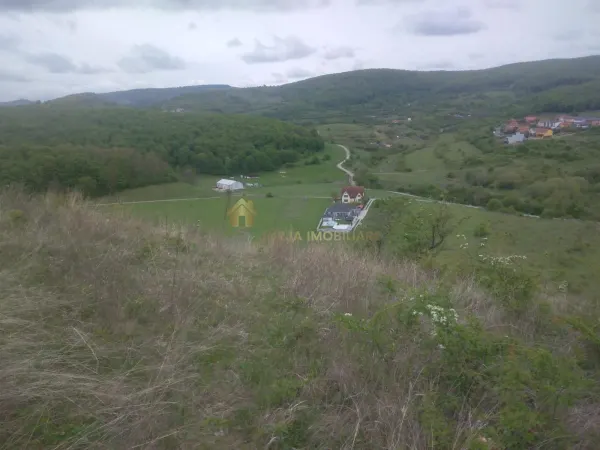 Teren Florești - poza 2