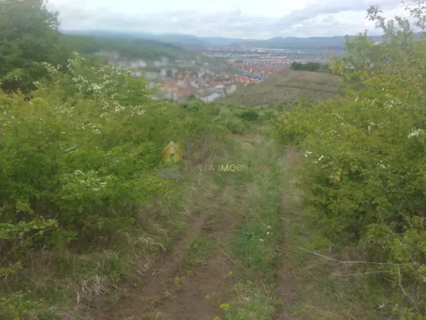 Teren Florești - poza 3