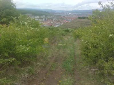 teren extravilan 3640 mp Strada Stejarului - foto 3