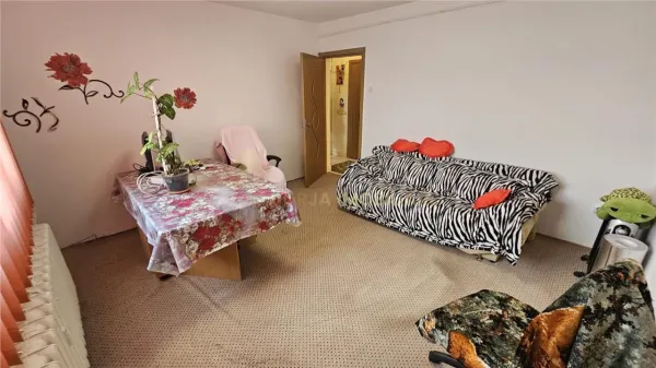 Apartament 2 camere Cluj-Napoca - poza 1