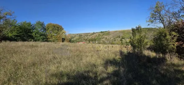 Teren Suceagu - poza 7