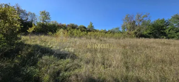 Teren Suceagu - poza 9